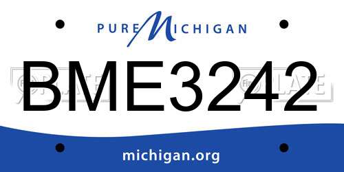BME3242 Michigan License Plate