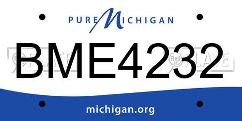 BME4232 Michigan License Plate