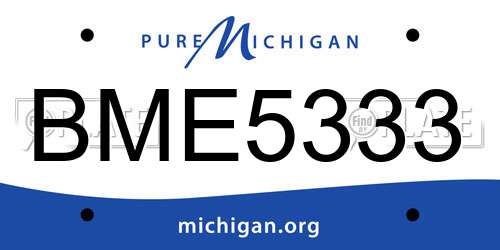 BME5333 Michigan License Plate