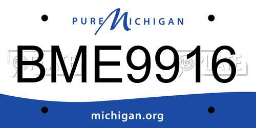 BME9916 Michigan License Plate