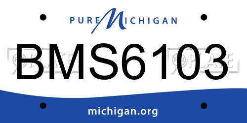 BMS6103 Michigan License Plate