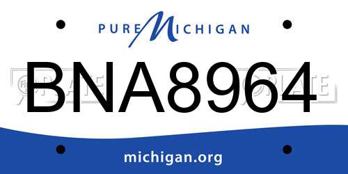 BNA8964 Michigan License Plate