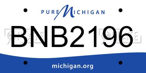 BNB2196 Michigan License Plate