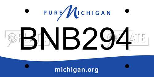 BNB294 Michigan License Plate