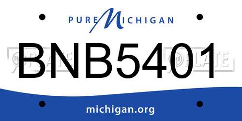 BNB5401 Michigan License Plate