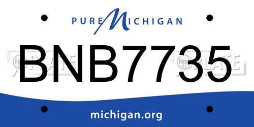 BNB7735 Michigan License Plate
