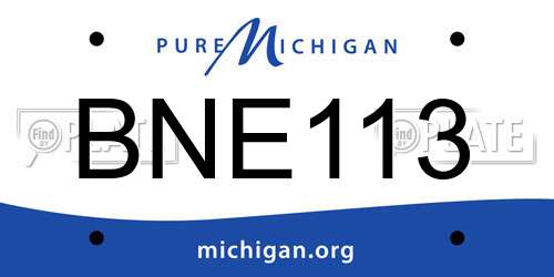 BNE113 Michigan License Plate