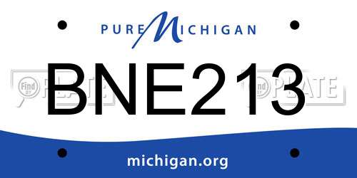 BNE213 Michigan License Plate
