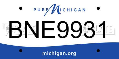 BNE9931 Michigan License Plate