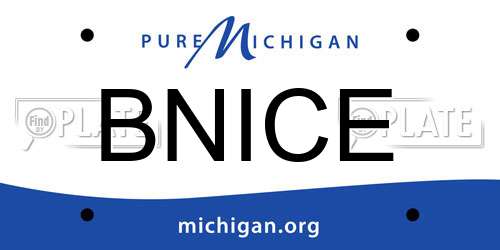 BNICE Michigan License Plate