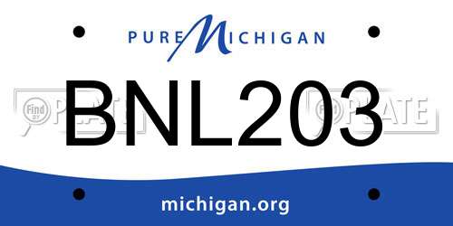 BNL203 Michigan License Plate