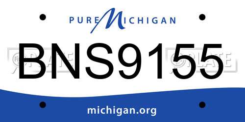 BNS9155 Michigan License Plate