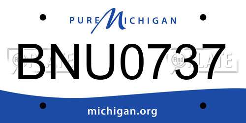 BNU0737 Michigan License Plate