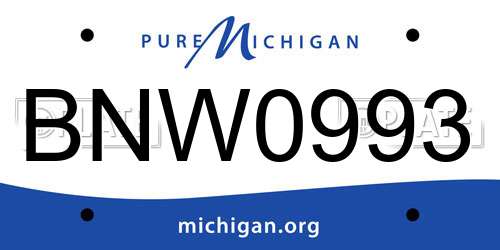 BNW0993 Michigan License Plate