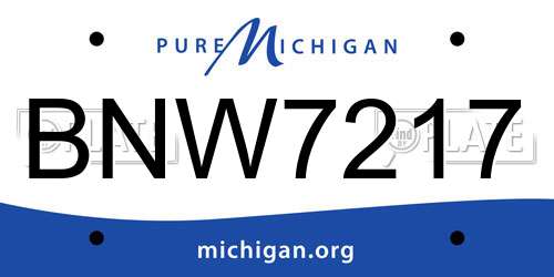 BNW7217 Michigan License Plate