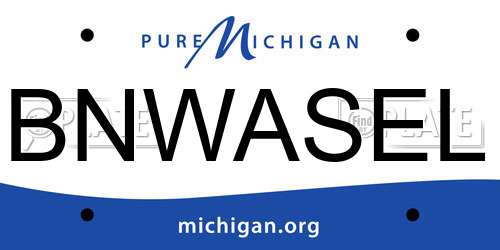 BNWASEL Michigan License Plate