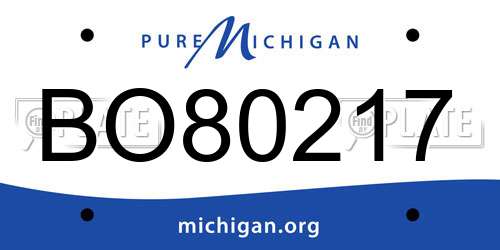 BO80217 Michigan License Plate