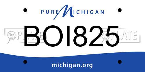 BOI825 Michigan License Plate