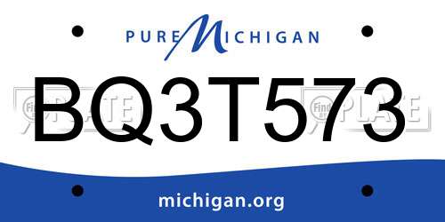 BQ3T573 Michigan License Plate