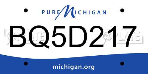BQ5D217 Michigan License Plate