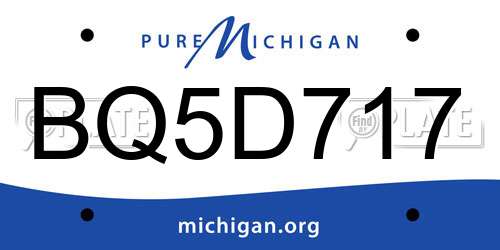 BQ5D717 Michigan License Plate