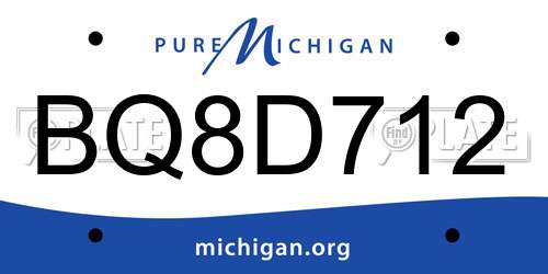 BQ8D712 Michigan License Plate
