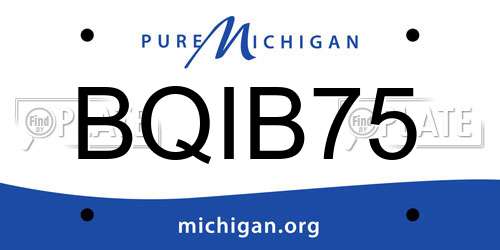 BQIB75 Michigan License Plate