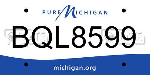BQL8599 Michigan License Plate