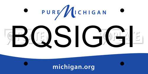 BQSIGGI Michigan License Plate