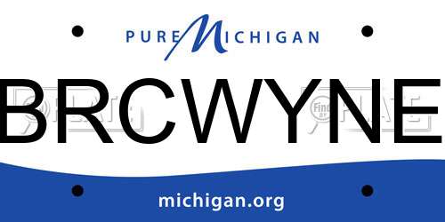 BRCWYNE Michigan License Plate