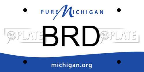 BRD Michigan License Plate