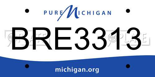 BRE3313 Michigan License Plate