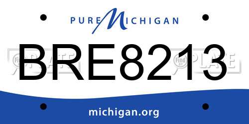 BRE8213 Michigan License Plate