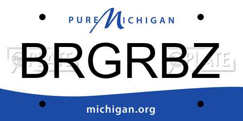BRGRBZ Michigan License Plate