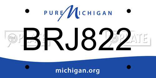 BRJ822 Michigan License Plate