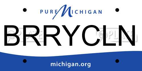 BRRYCLN Michigan License Plate