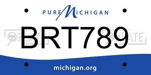 BRT789 Michigan License Plate