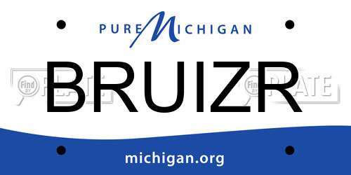 BRUIZR Michigan License Plate
