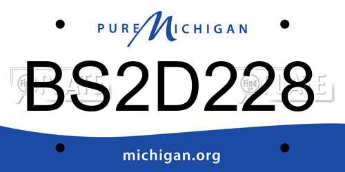 BS2D228 Michigan License Plate