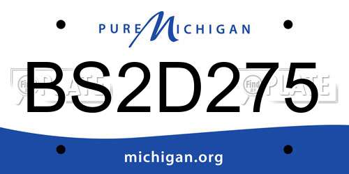 BS2D275 Michigan License Plate