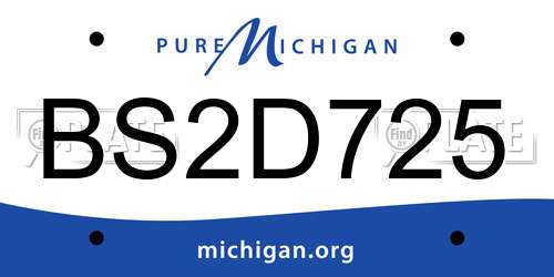 BS2D725 Michigan License Plate