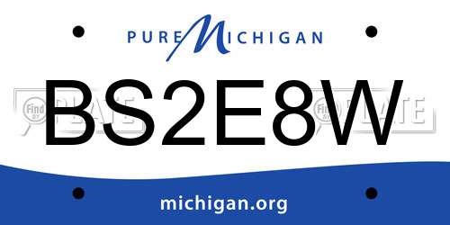 BS2E8W Michigan License Plate