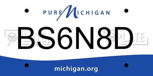 BS6N8D Michigan License Plate
