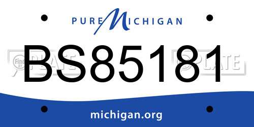 BS85181 Michigan License Plate