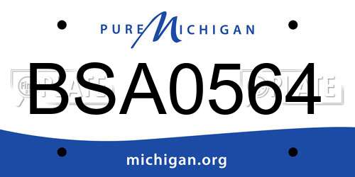 BSA0564 Michigan License Plate