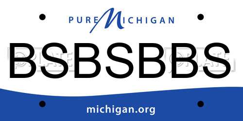 BSBSBBS Michigan License Plate