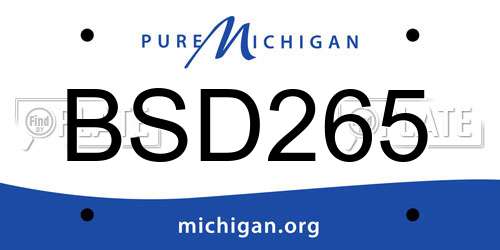 BSD265 Michigan License Plate