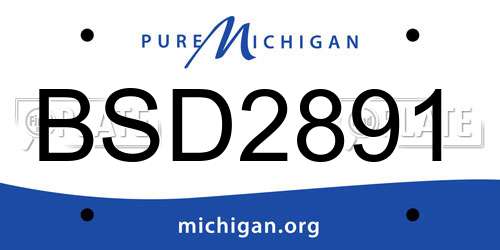 BSD2891 Michigan License Plate