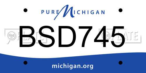 BSD745 Michigan License Plate