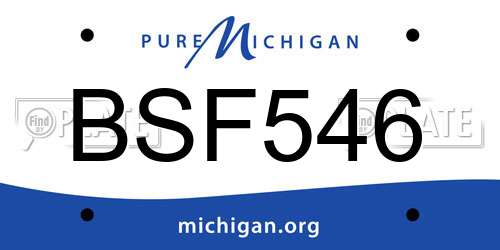 BSF546 Michigan License Plate